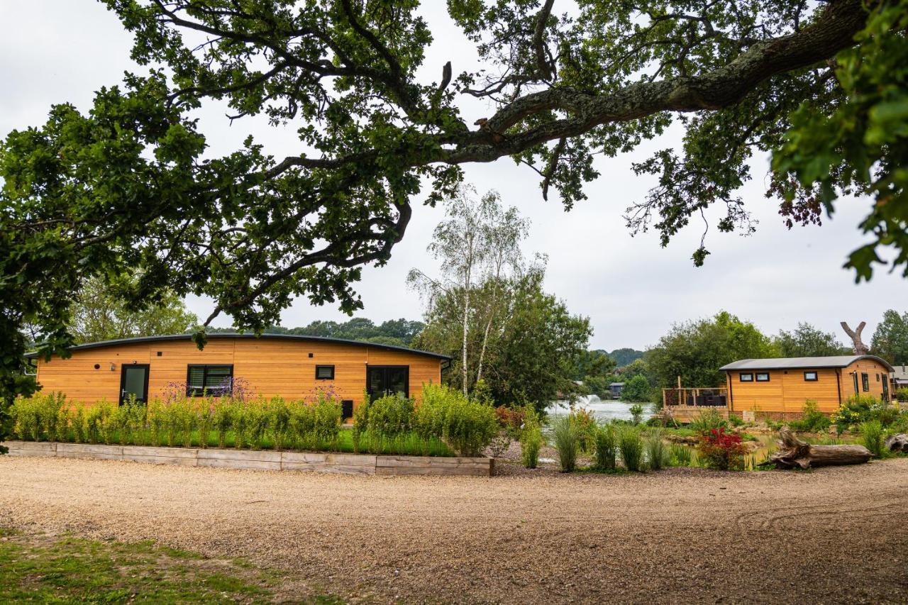 Sumners Ponds Fishery & Campsite Hotel Horsham Bagian luar foto